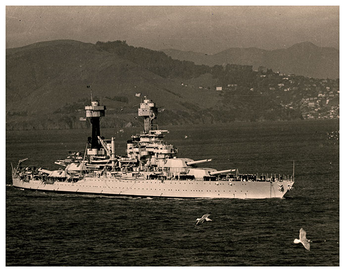 Picture of the USSWV in the ocean with birds and mountains in the background.